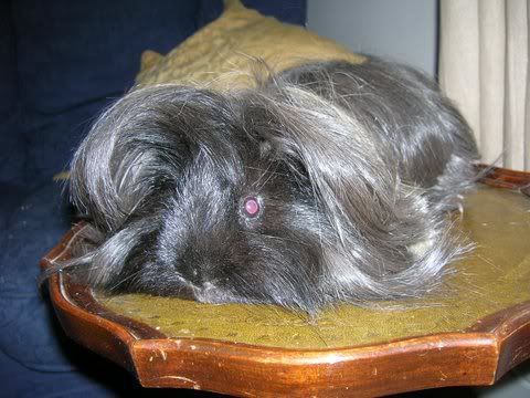 DSCN3504.jpg