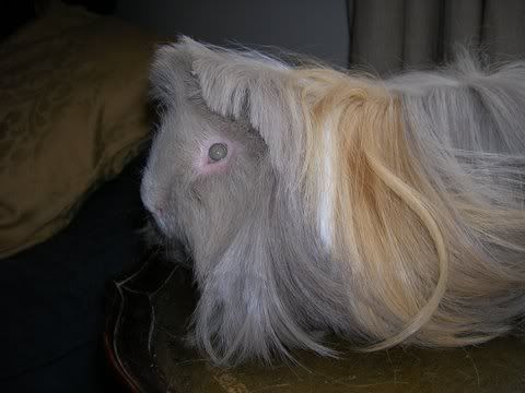 DSCN3507.jpg