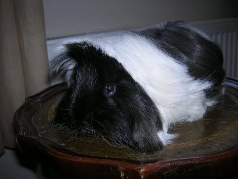 DSCN3508.jpg