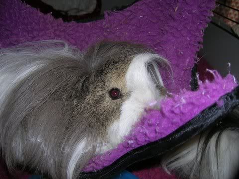 DSCN3513.jpg