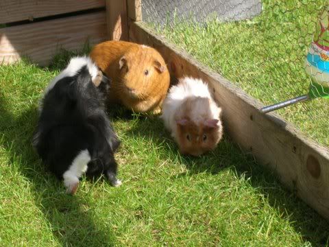 DSCN3538.jpg