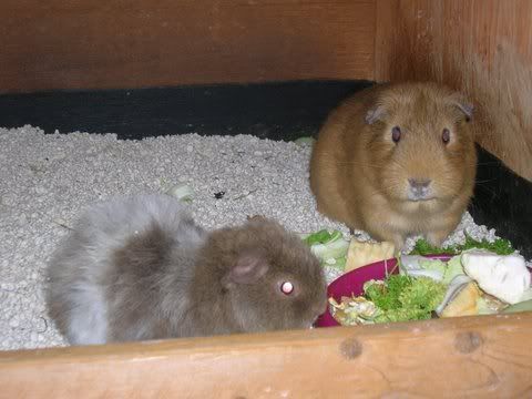 DSCN3547.jpg