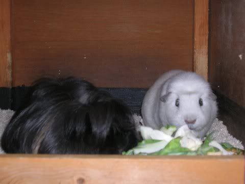 DSCN3548.jpg