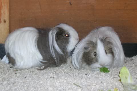 DSCN3549.jpg