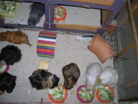 DSCN3552.jpg