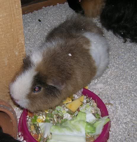 DSCN3553.jpg