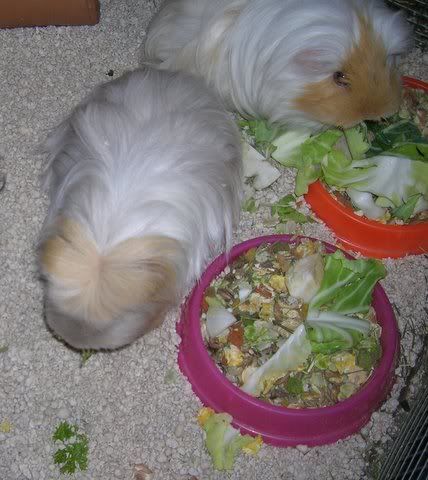 DSCN3555.jpg