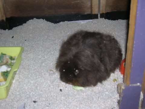 DSCN3556.jpg
