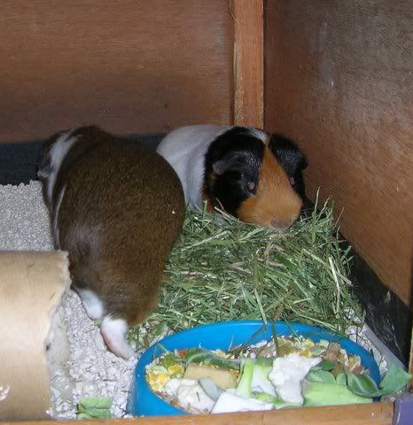 DSCN3557.jpg