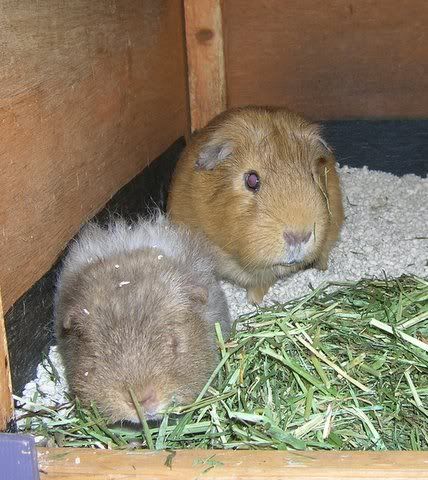 DSCN3558.jpg