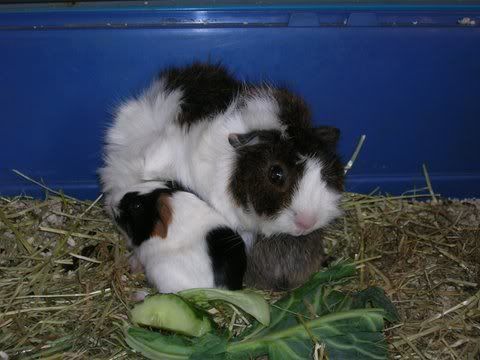 DSCN3564.jpg