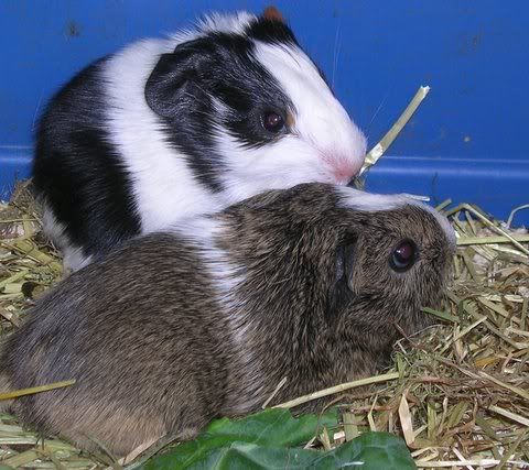DSCN3566.jpg