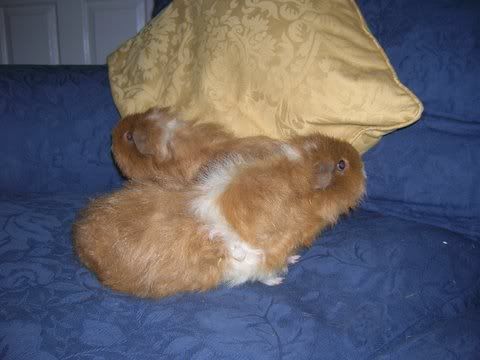 DSCN3587.jpg