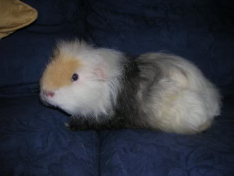 DSCN3589.jpg
