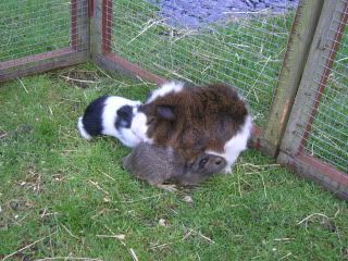 DSCN3607.jpg