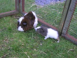 DSCN3608.jpg