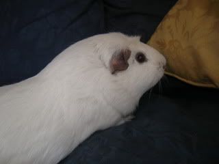 DSCN3625.jpg