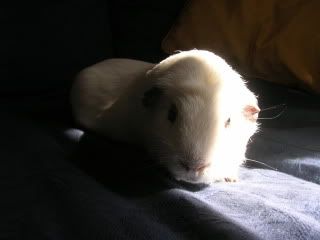 DSCN3626.jpg
