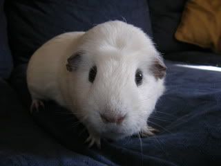 DSCN3627.jpg