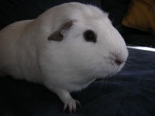 DSCN3628.jpg