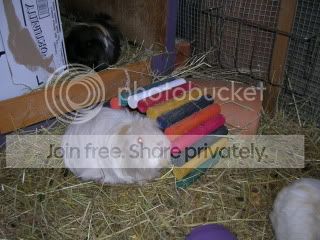 DSCN3631.jpg