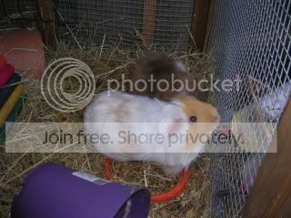 DSCN3632.jpg