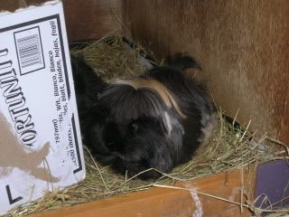 DSCN3633.jpg