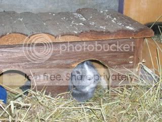 DSCN3634.jpg
