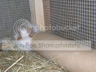 DSCN3639.jpg