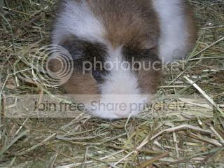 DSCN3640.jpg