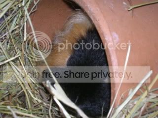 DSCN3643.jpg