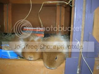 DSCN3644.jpg