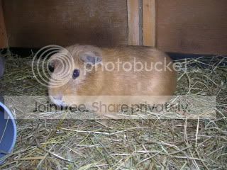 DSCN3647.jpg