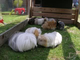 DSCN3704.jpg