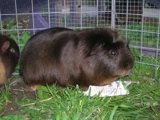 DSCN3711.jpg