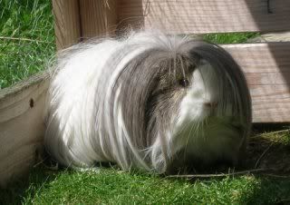 DSCN3726.jpg