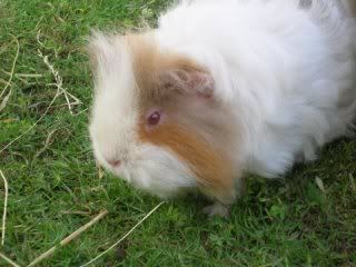 DSCN3730.jpg