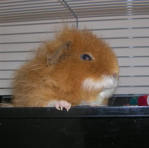 DSCN3880.jpg