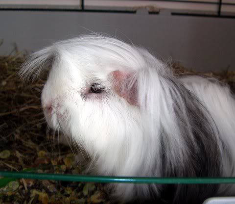 DSCN3881.jpg