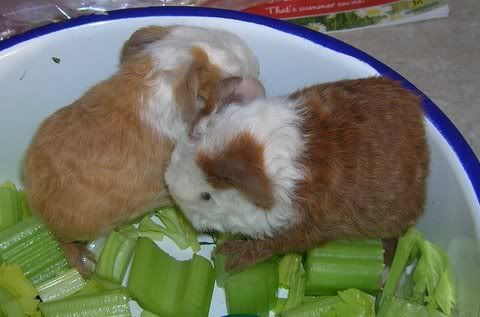 DSCN3897.jpg