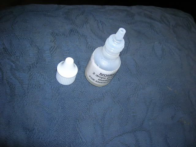 DSCN3976.jpg