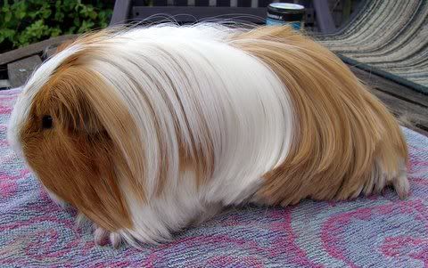 DSCN3997.jpg