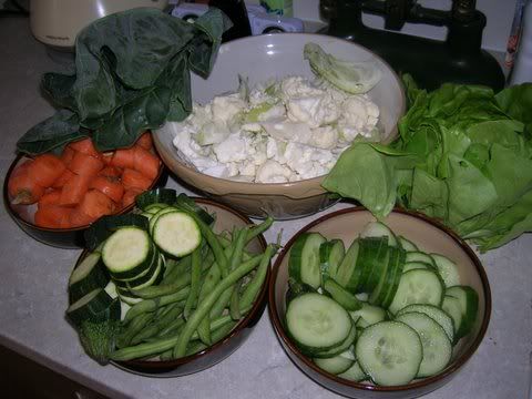 DSCN4003.jpg