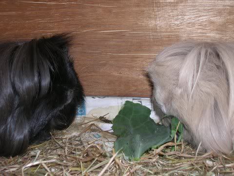 DSCN4015.jpg