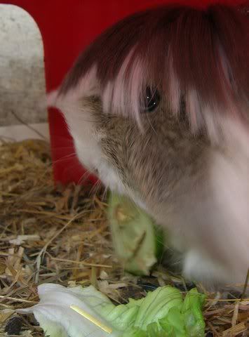 DSCN4030.jpg