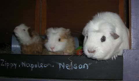 DSCN4035.jpg