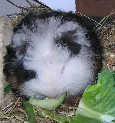 DSCN4071.jpg