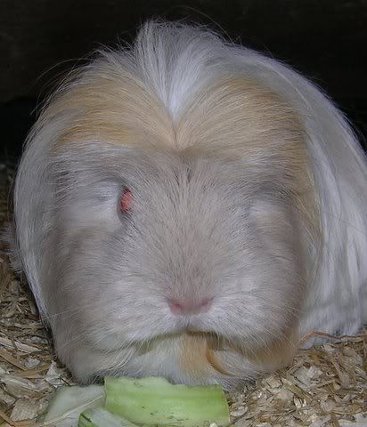 DSCN4089.jpg