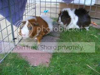 DSCN4098.jpg
