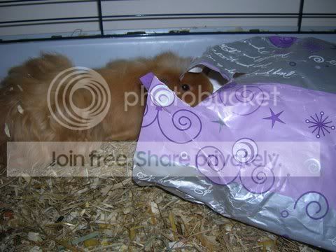 DSCN4276.jpg